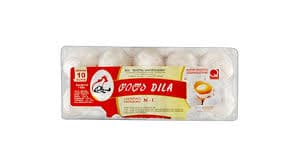 Egg 1 · Dila