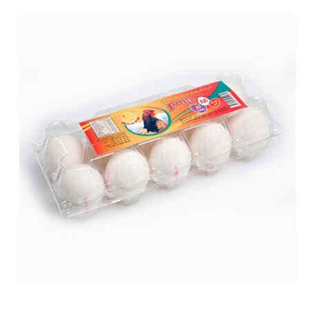 Eggs "Koda" chicken I category